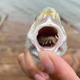 A parasitic crustacean living in the mouth of an Atlantic croaker after eating its tongue.